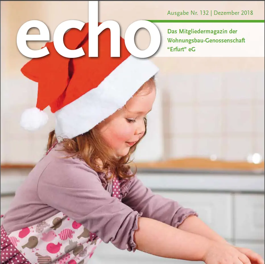 Echo 132 Cover