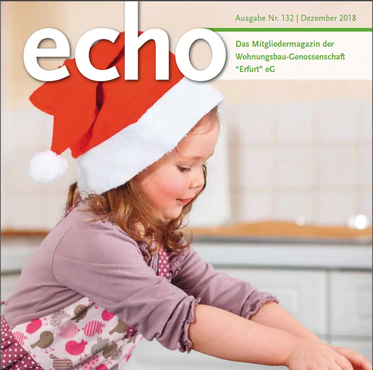 Echo 132 Cover