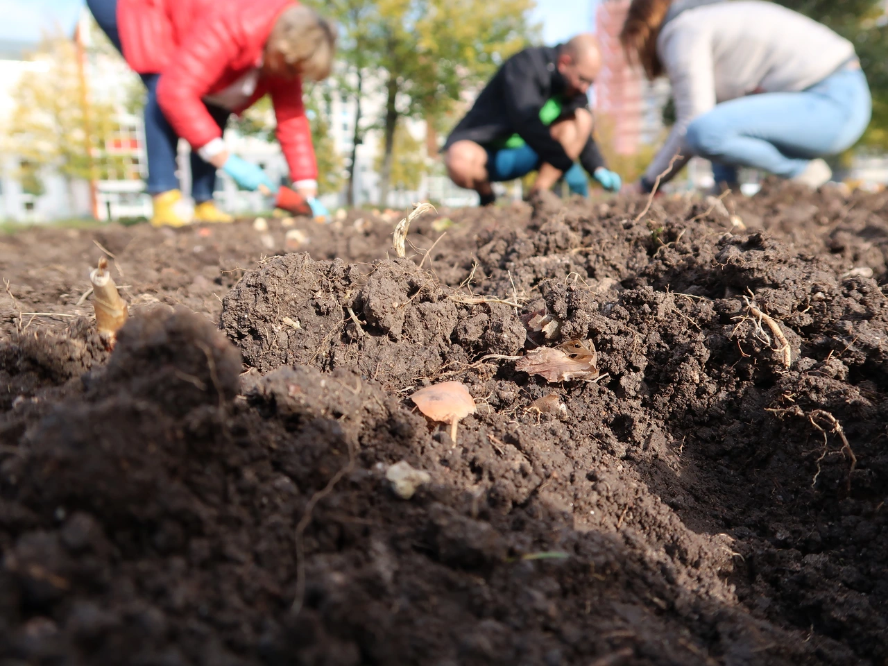 Frühjahr Vorbereitungen Vorbereitungen für das Frühjahr