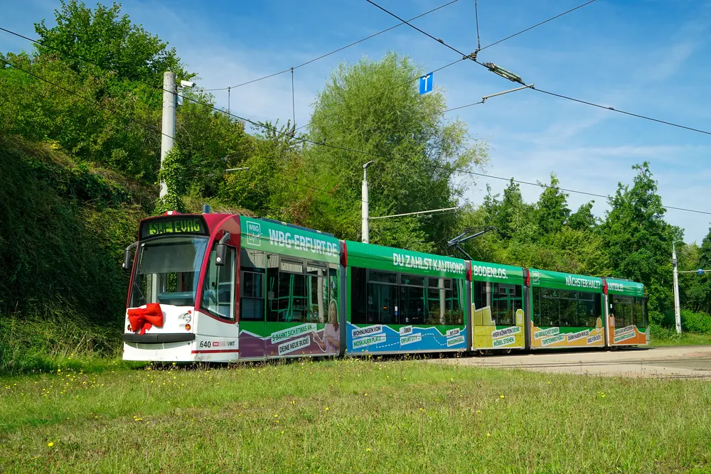 Straßenbahn mit Werbung der WBG Erfurt, umgeben von Bäumen