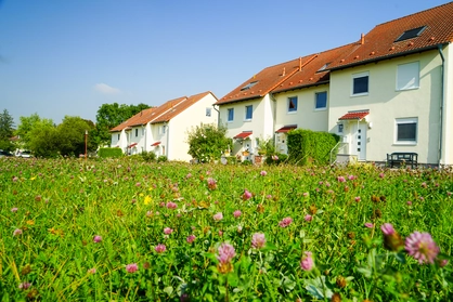 Reihenhäuser mit blühender Wiese im Vordergrund