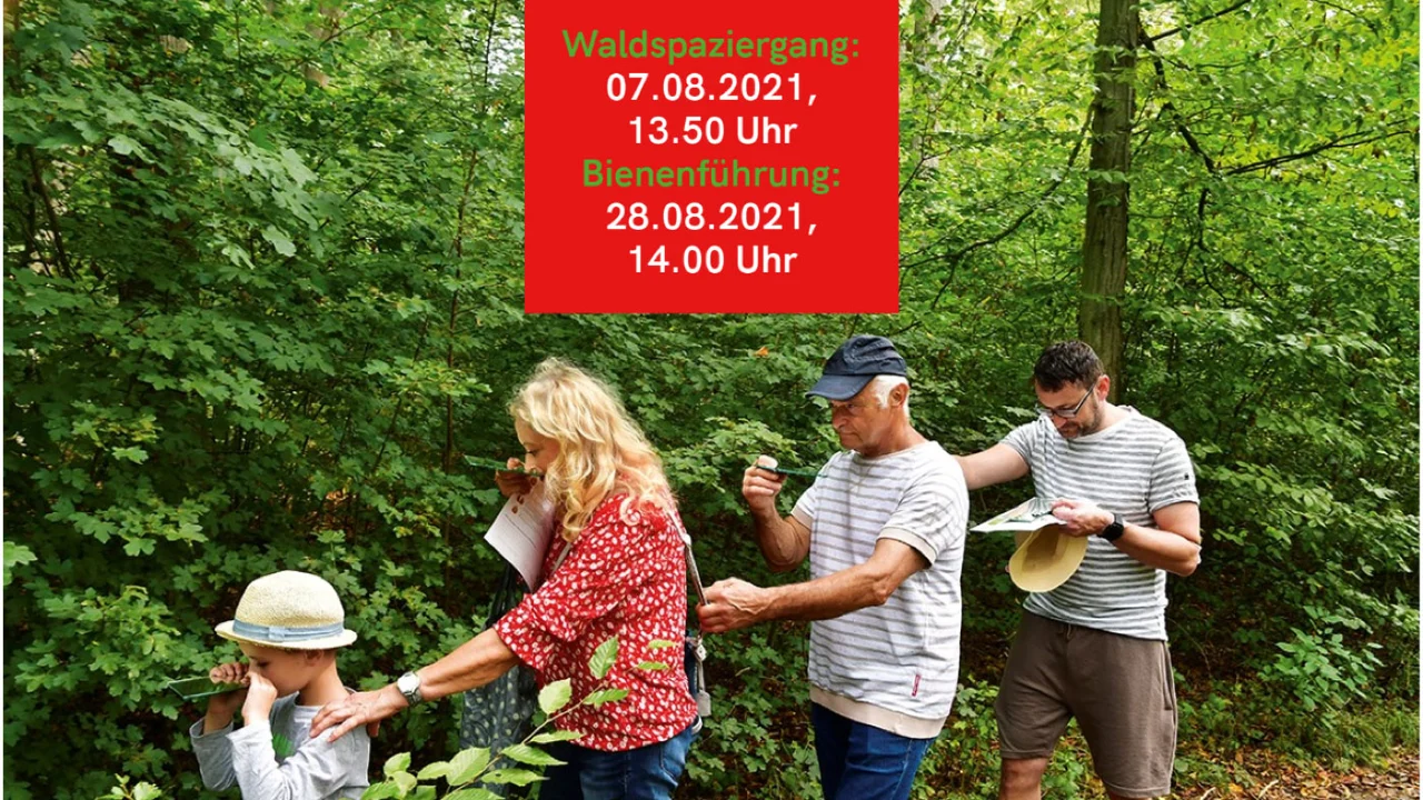 Personen beim Bienenprojekt