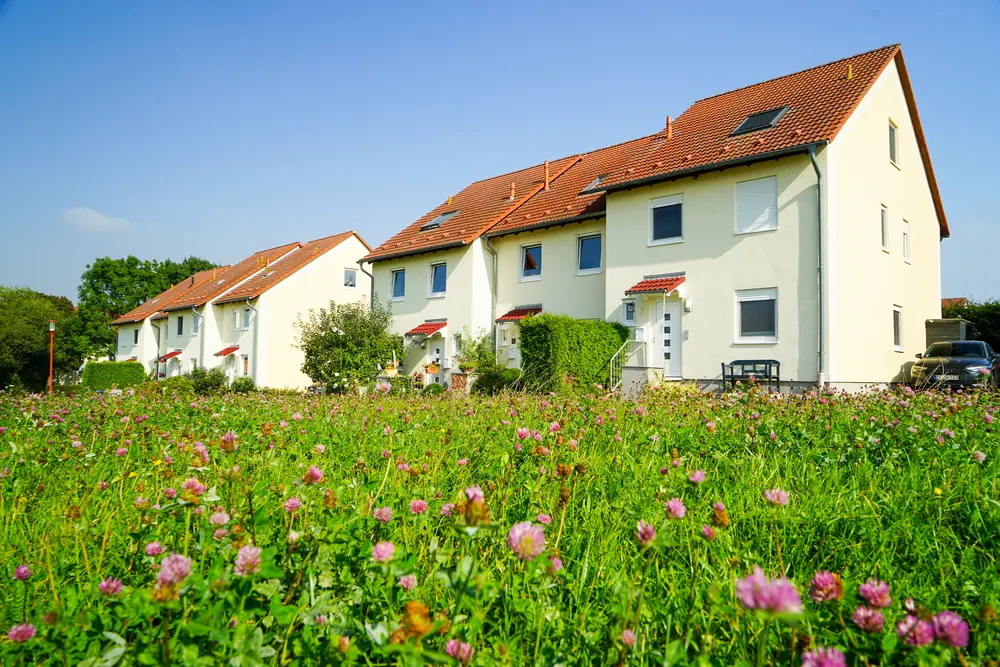 Reihenhäuser mit blühender Wiese im Vordergrund