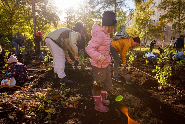 Kinder pflanzen auf einer Erdfläche kleine Baumsetzlinge